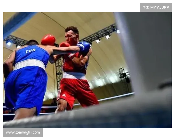 2016最新搏击赛事—搏击2020