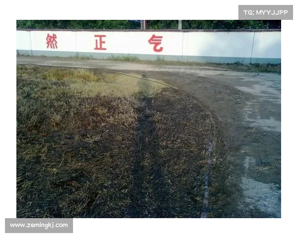 体育集体退赛事件案例