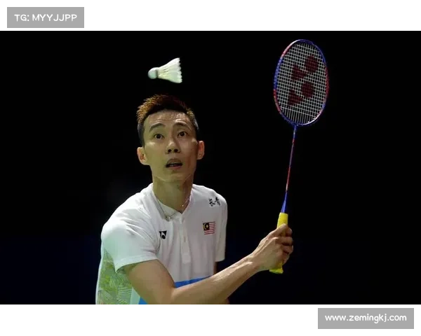 李宗伟比赛集锦