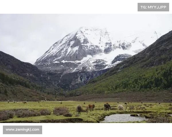 稻城亚丁相关赛事_稻城亚丁活动